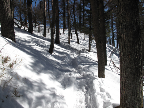 20180209hike (94)